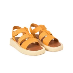 Pataugas ATARI/NU F2I OCRE 12 Pataugas ATARI/NU F2I OCRE -Pataugas Boutique SANDALE FEMME ATARI NU F2I OCRE 628448 251 4 0fc7fac9 5088 4f30 8f1a 4cc7a3bacf39